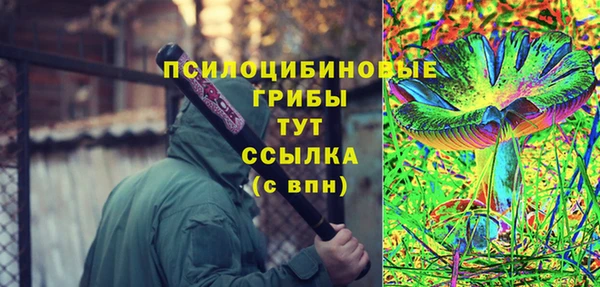хмурый Гусев