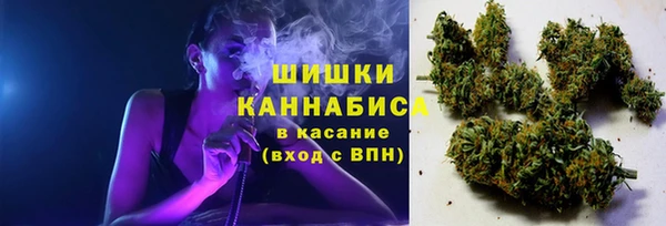 мяу мяу кристалл Гусь-Хрустальный
