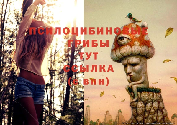 мяу мяу кристалл Гусь-Хрустальный