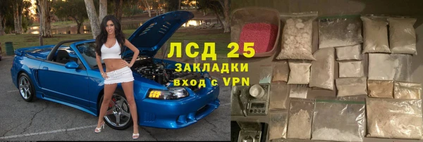 хмурый Гусев